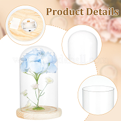 Glass Dome Cover&nbsp;DJEW-WH0043-46