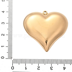 304 Stainless Steel Pendants&nbsp;LS-STAS-Q349-02C-G