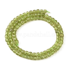 Natural Peridot Beads Strands&nbsp;G-K376-D03-4x4mm