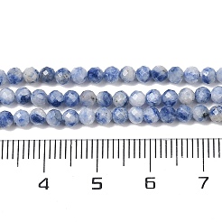 Natural Blue Spot Jasper Beads Strands&nbsp;G-A252-A02-02