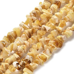 Natural Amber Beads Strands&nbsp;G-L095-N01-03