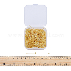 Iron Eye Pin&nbsp;IFIN-YW0001-10G