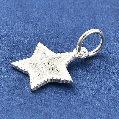 Sterling Silver Charms&nbsp;STER-E070-03H-1
