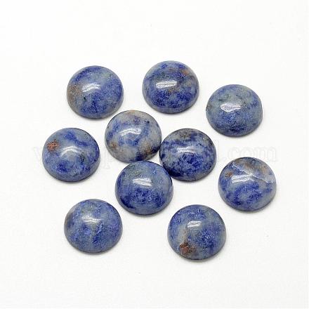 Natural Blue Spot Jasper Cabochons G-R416-20mm-45-1