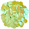 PVC Sequin Pendants, Blank Flat Round, Pale Green, 19x0.3mm, Hole: 1.5mm, about 3460pcs/450g