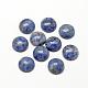 Natural Blue Spot Jasper Cabochons&nbsp;G-R416-20mm-45-1