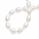 Shell Pearl Beads Strands&nbsp;PEAR-T005-02-4