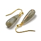 Ion Plating(IP) Natural Labradorite Dangle Earring&nbsp;EJEW-C084-01G-04-2