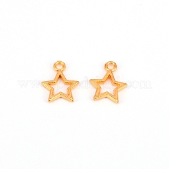 Alloy Charms&nbsp;PALLOY-CD0001-02G
