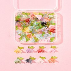 50Pcs Transparent Acrylic Pendants&nbsp;PALLOY-FS00043-02