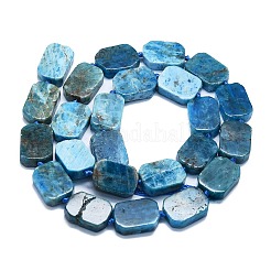 Natural Apatite Beads Strands&nbsp;G-K245-J20-01