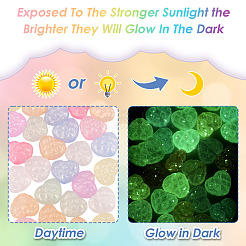 Luminous Transparent Acrylic Beads&nbsp;LACR-TA0001-07E