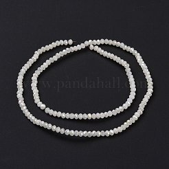 Half Plated Faceted Rondelle Electroplate Imitation Jade Glass Bead Strands&nbsp;X-EGLA-D020-3x2mm-05