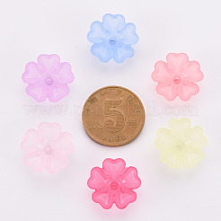 Transparent Frosted Acrylic Bead Caps&nbsp;X-MACR-S371-04A