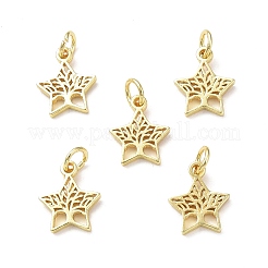 Rack Plating Brass Charms&nbsp;KK-F849-05G