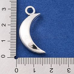 Tibetan Style Alloy Moon Pendants&nbsp;TIBEP-Q043-032-RS