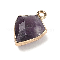 Natural Amethyst Pendants&nbsp;G-K422-01G-11