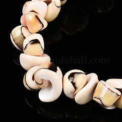 Natural Sea Shell Beads Strands&nbsp;BSHE-E026-14