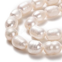 Natural Cultured Freshwater Pearl Beads Strands&nbsp;PEAR-L033-73-01
