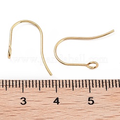 316 Surgical Stainless Steel Earring Hooks&nbsp;X-STAS-P162-13G-B01