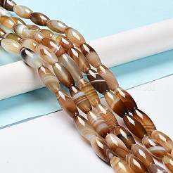 Natural Banded Agate Beads Strands&nbsp;G-G0001-D01