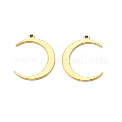 Ion Plating(IP) 201 Stainless Steel Pendants&nbsp;STAS-T063-174G