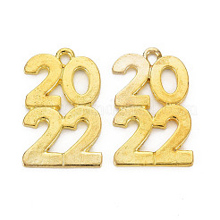 Rack Plating Alloy Pendants&nbsp;PALLOY-S139-008-RS