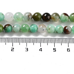 Natural Chrysoprase Beads Strands&nbsp;G-G057-A01-02