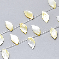 Natural Yellow Shell Pendants&nbsp;SSHEL-N036-022