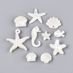 Ocean Theme ABS Plastic Imitation Pearl Beads&nbsp;OACR-T028-94