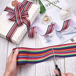 2 Rolls 2 Style Stripe Pattern Printed Polyester Grosgrain Ribbon&nbsp;OCOR-TA0001-38A