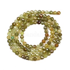Natural Green Garnet Beads Strands&nbsp;G-B181-A01-3mm