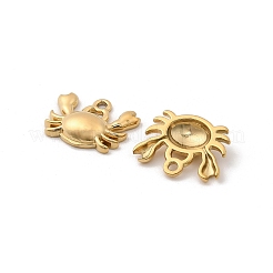 304 Stainless Steel Charms&nbsp;STAS-G358-08G-03