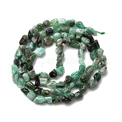 Natural Emerald Beads Strands&nbsp;X-G-I389-A41