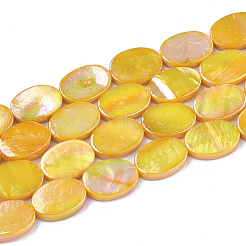Freshwater Shell Beads Strands&nbsp;SSHEL-T007-19