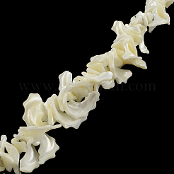 Chips Natural Trochid Shell/Trochus Shell Beads Strands&nbsp;SSHEL-F290-30