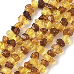 Natural Amber Beads Strands&nbsp;G-L095-E01-03