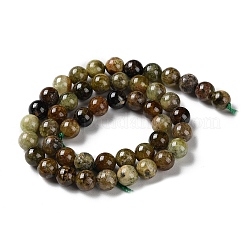 Natural Green Garnet Beads Strands&nbsp;G-Z034-B14-02