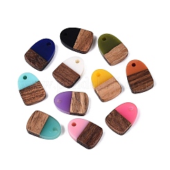 Opaque Resin & Walnut Wood Pendants&nbsp;RESI-N053-32