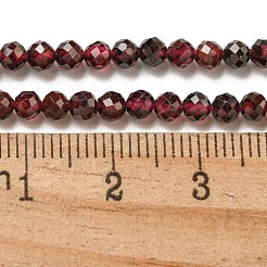 Natural Garnet Beads Strands&nbsp;G-I341-09C