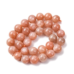 Natural Sunstone Beads Strands&nbsp;G-H343-D12-12mm