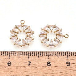 304 Stainless Steel Pendants&nbsp;STAS-N109-173G