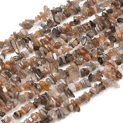 Natural Multi-Moonstone Chip Beads Strands&nbsp;G-B160-A04
