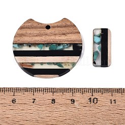 10Pcs 5 Styles Transparent Resin & Walnut Wood Pendants&nbsp;RESI-N053-08