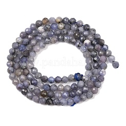 Natural Tanzanite Beads Strands&nbsp;G-C255-A01-3mm
