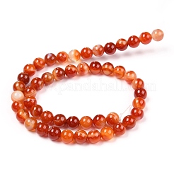 Natural Banded Agate/Striped Agate Beads Strands&nbsp;G-G582-A
