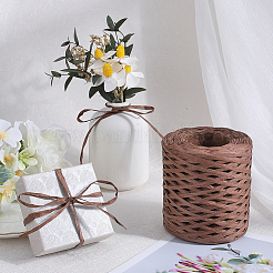Raffia Paper Cords&nbsp;OCOR-WH20015-05C