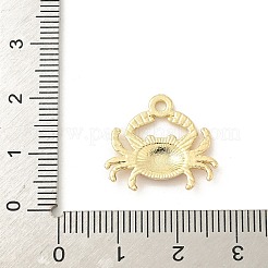 Alloy Enamel Pendants&nbsp;FIND-A058-08A
