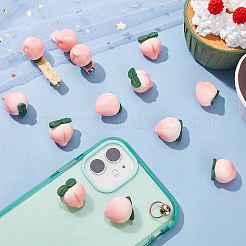 Resin Beads&nbsp;RESI-AR0001-02