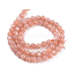 Natural Sunstone Beads Strands&nbsp;G-R475-012